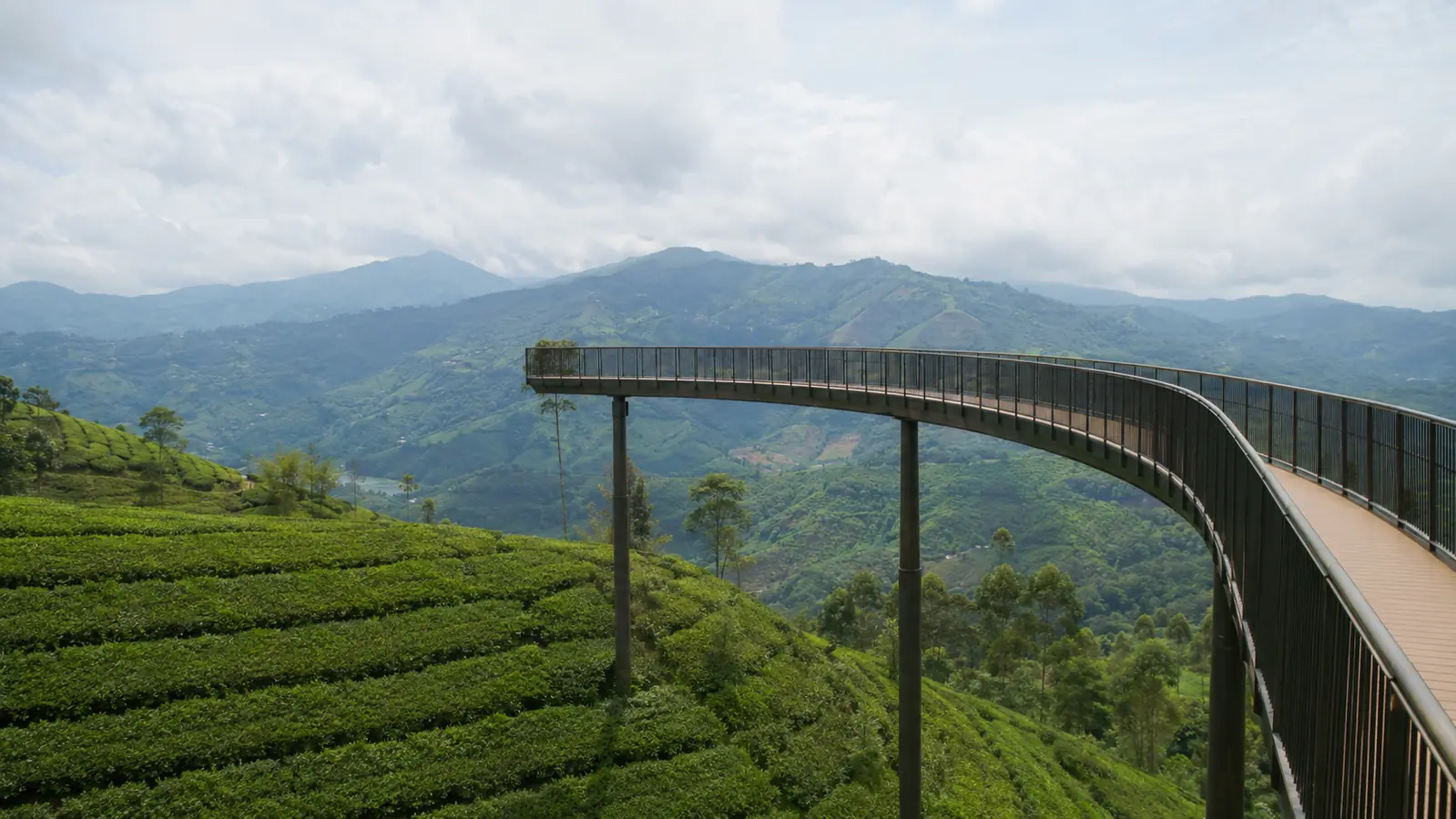 Jembatan langit Nimo Highland di atas kebun teh
